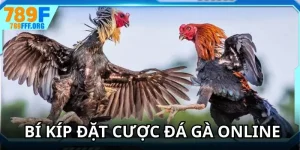 Bí kíp đặt cược đá gà online