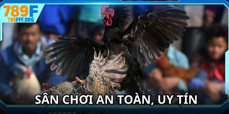 Sân chơi an toàn, uy tín cho thành viên tham gia
